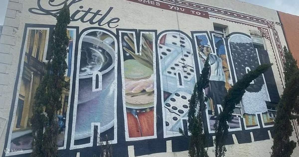 Little Havana Street Art Graffiti Tour - Klook United States